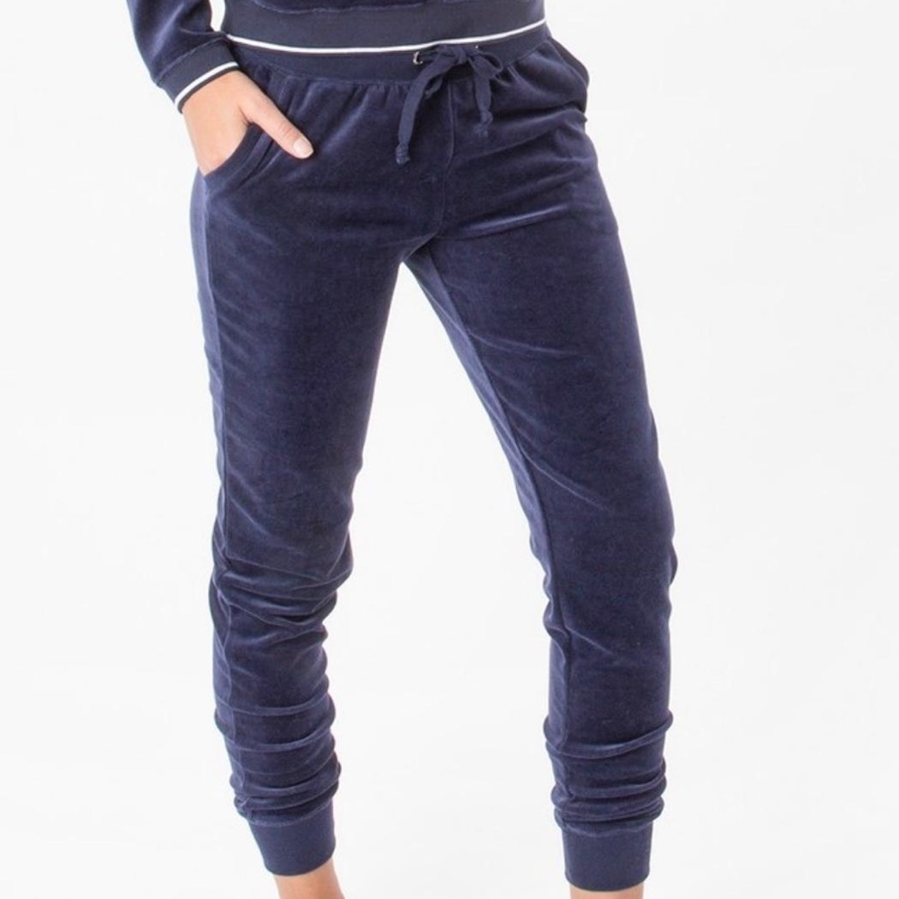 Z Supply Dark Blue Velour Jogger Pant